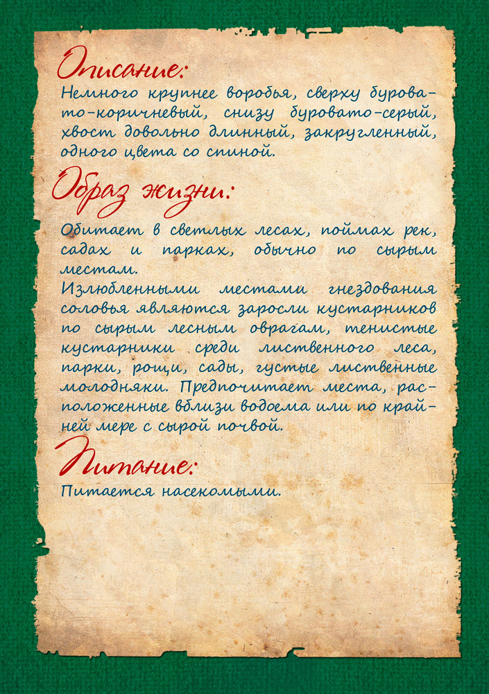 Изображения.
